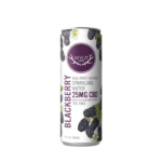 WYLD CBD Blackberry Sparkling Water