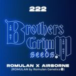 BROTHERS GRIMM 222 Seeds | 9 pack