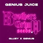 BROTHERS GRIMM Genius Juice Seeds | 9 pack