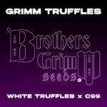 BROTHERS GRIMM Grimm Truffles Seeds | 9 pack